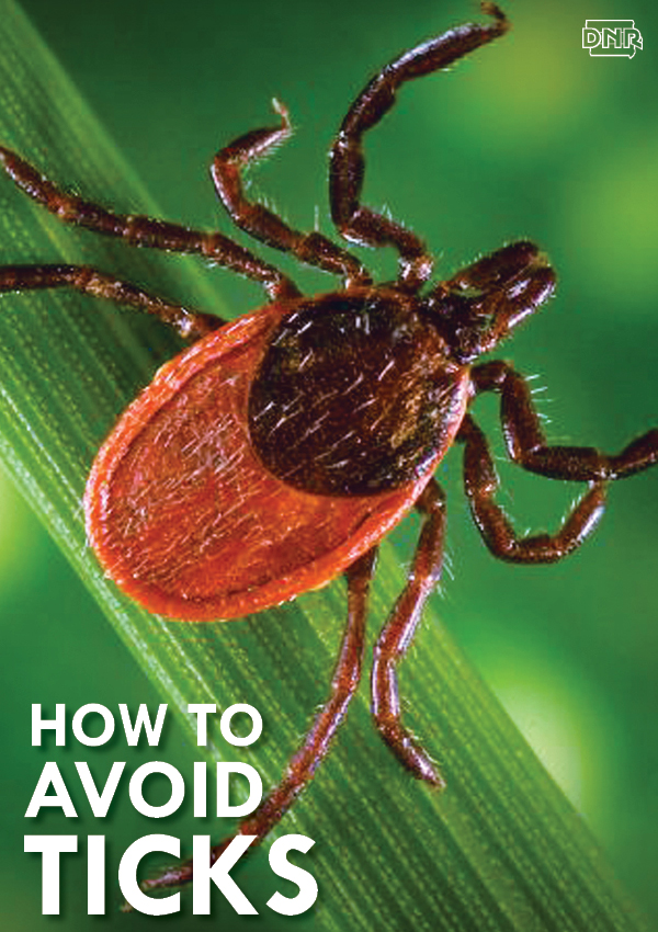 Tips and Tricks for Avoiding and Removing Ticks DNR News Releases